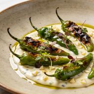 Hearth-Blistered Shishitos over Garlicky Silk photo 1