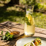 Velvet Mint & Honey Mediterranean Lemonade photo 1